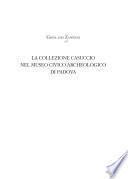 La collezione Casuccio nel Museo civico archeologico di Padova