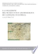 La collezione del Museo Civico Archeologico di Castelfranco Emilia