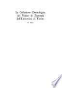 La collezione ornitologica del Museo di zoologia dell'Università di Torino