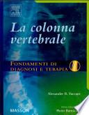La colonna vertebrale