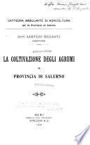 La coltivazione degli agrumi in provincia di Salerno