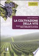 La coltivazione della vite