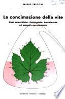 La concimazione della vite