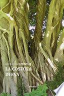 La costola di Eva