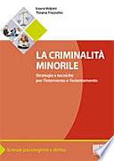 La criminalità minorile. Strategie e tecniche per l'intervento e l'orientamento