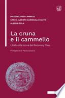 La cruna e il cammello. L'Italia alla prova del Recovery Plan