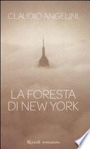 La foresta di New York