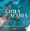 La gioia dell'acqua. Un mondo di sublimi esperienze acquatiche. Ediz. illustrata