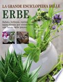 La grande enciclopedia delle erbe