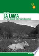 La Lama