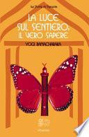 La luce sul sentiero