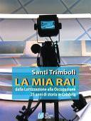 LA MIA RAI dalla Lottizzazione alla Occupazione 25 anni di storia in Calabria