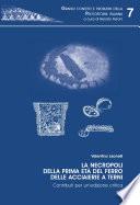 La necropoli della I età del ferro delle acciaierie a Terni. Contributi per un'edizione critica