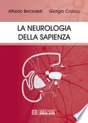 La neurologia della Sapienza