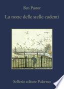 La notte delle stelle cadenti