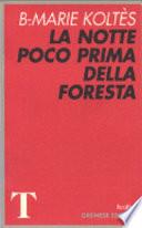 La notte poco prima della foresta