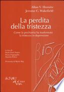La perdita della tristezza. Come la psichiatria ha trasformato la tristezza in depressione