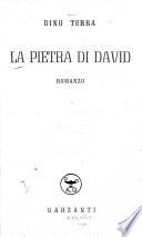 La pietra di David