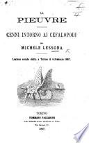 La Pieuvre. Cenni intorno ai cefalopodi