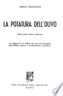 La potatura dell'olivo
