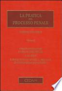 La pratica del processo penale