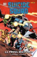 La prova del fuoco. Suicide Squad