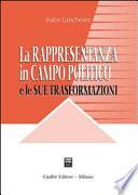 La rappresentanza in campo politico e le sue trasformazioni
