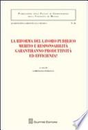 La riforma del lavoro pubblico merito e responsabilità garantiranno produttività ed efficienza? Atti del Convegno (Messina, 12-13 febbraio 2010)