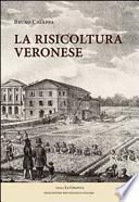 La risicoltura veronese (XVI-XX secolo)