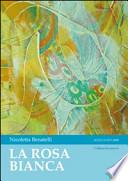 La rosa bianca
