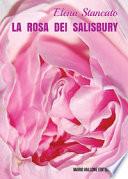 La rosa dei Salisbury