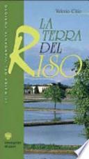 La terra del riso