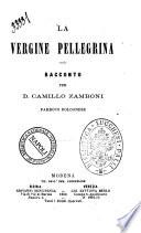 La Vergine pellegrina racconto per D. Camillo Zamboni