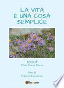 La vita è una cosa semplice