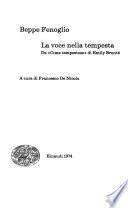 La voce nella tempesta