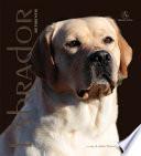 Labrador Retriver. Monografia fotografica. Ediz. illustrata