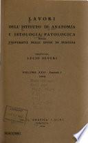 Lavori