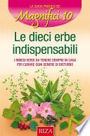 Le 10 erbe indispensabili