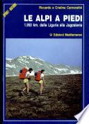 le alpi a piedi