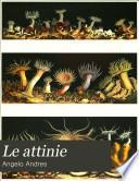 Le attinie