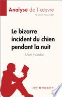 Libro Le bizarre incident du chien pendant la nuit de Mark Haddon (Analyse de l'œuvre)
