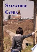 Le calze di Timisoara
