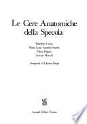 Le Cere anatomiche della Specola