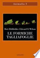 Le formiche tagliafoglie. La conquista della civiltà attraverso l'istinto