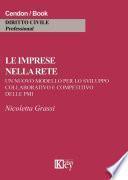 Le imprese nella rete
