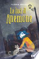 Le luci di Anemone