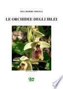 Le Orchidee degli Iblei