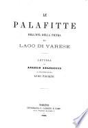 Le palafitte dell'età della pietra nel lago di Varese