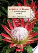 Le piante per la casa