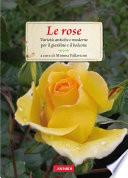 Le rose